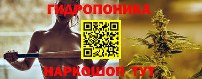 спайс Тара