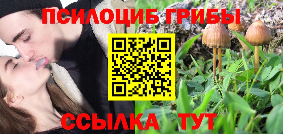 Галлюциногенные грибы Magic Shrooms  Вход с VPN  Псилоцибиновые грибы GOLDEN TEACHER  Осинники 